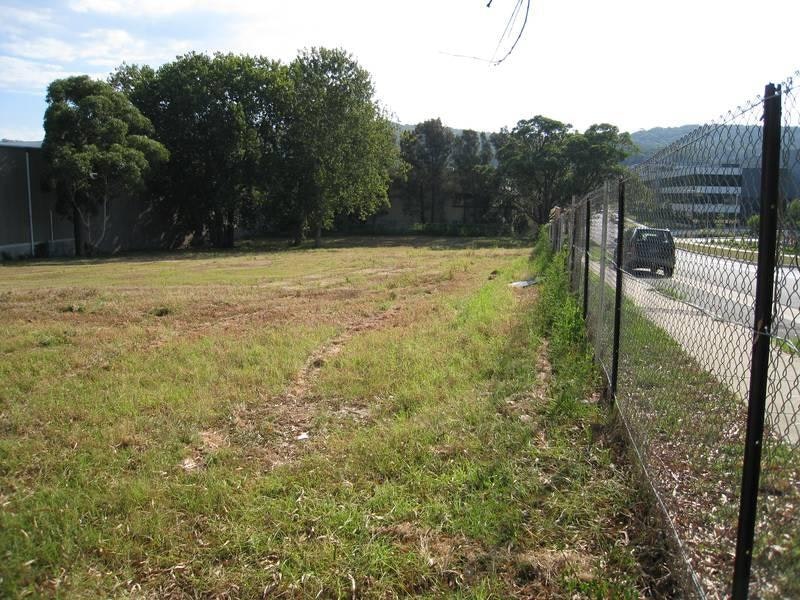 Image of backyard