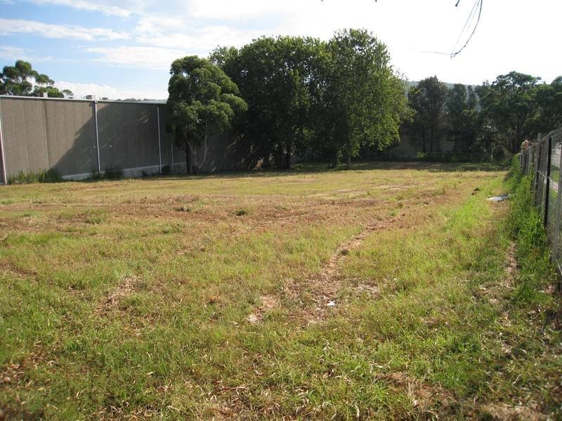Image of backyard