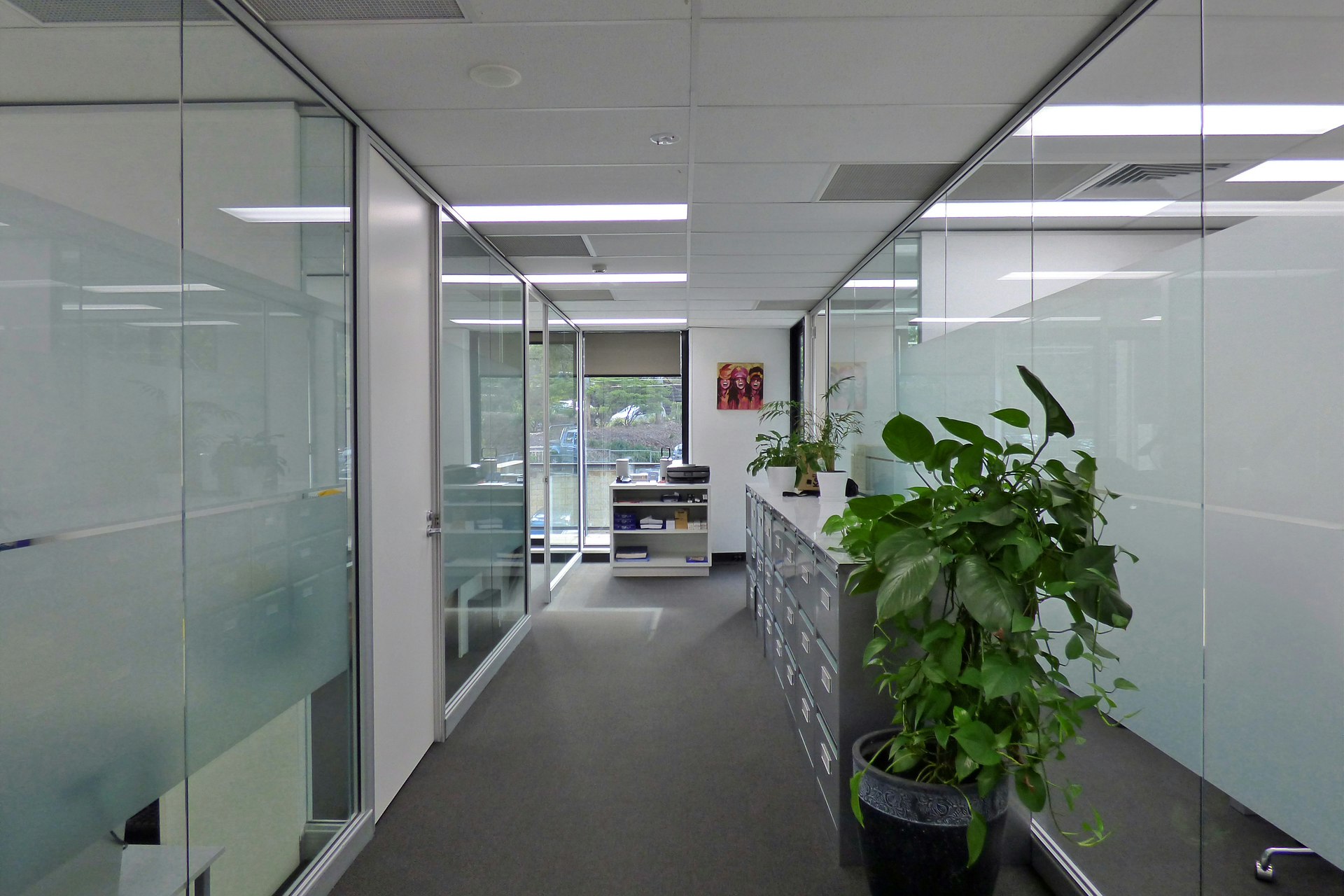 Image of plant