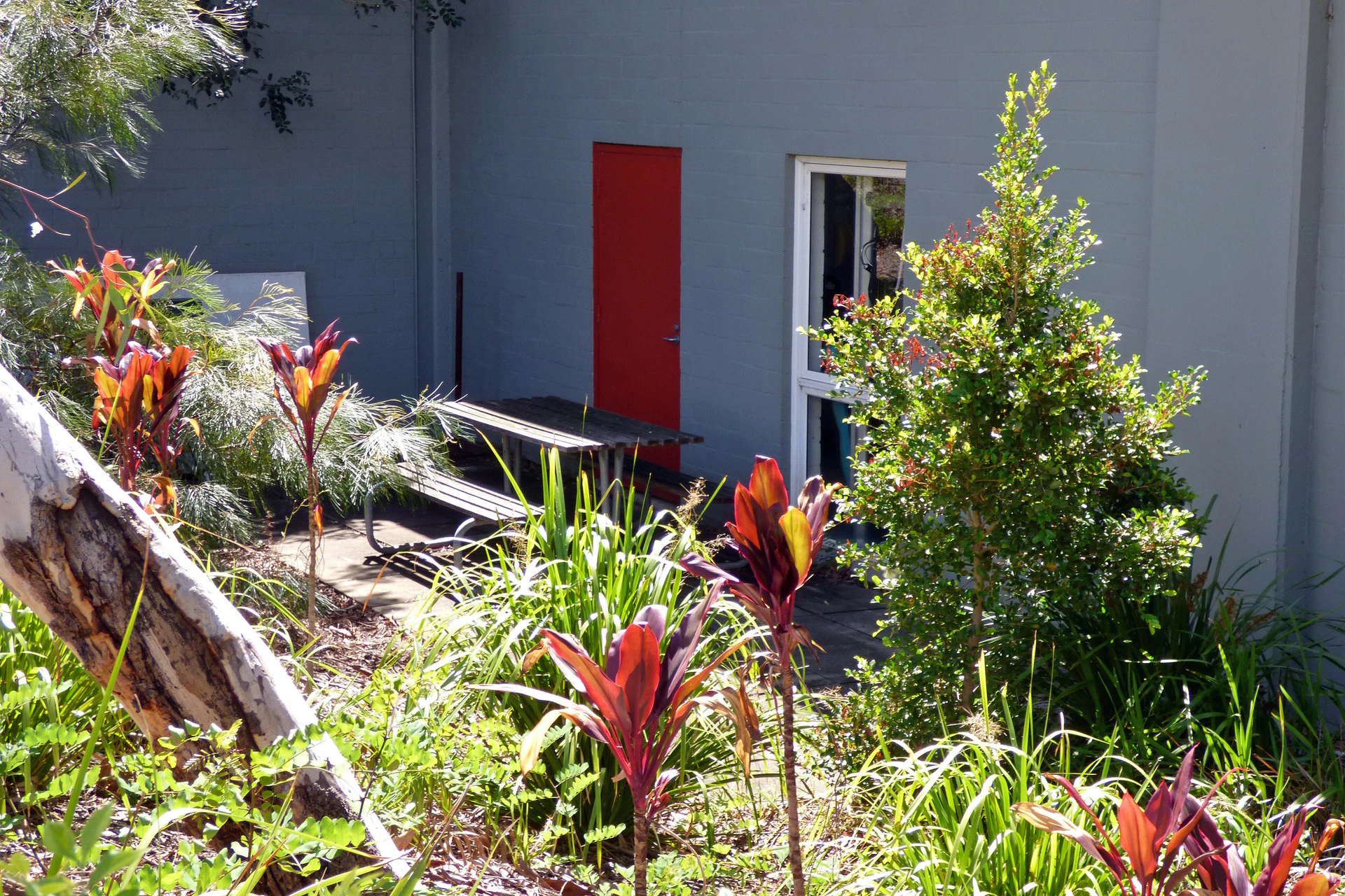 garden