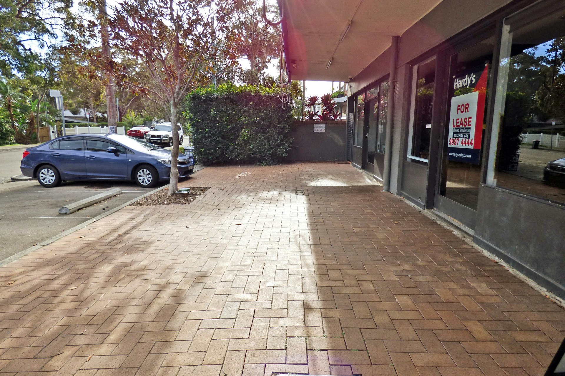 Image of path