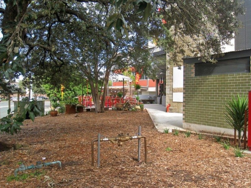 Image of backyard