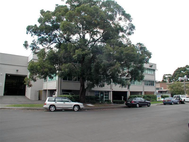 tree