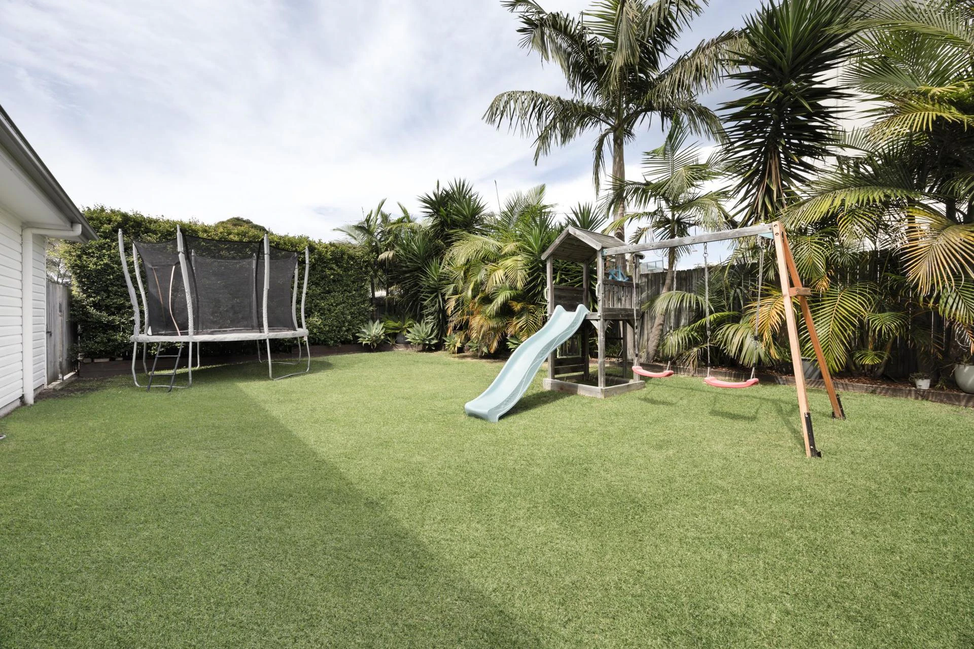 grass