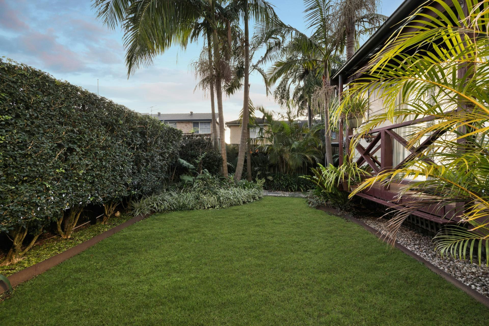 Image of backyard