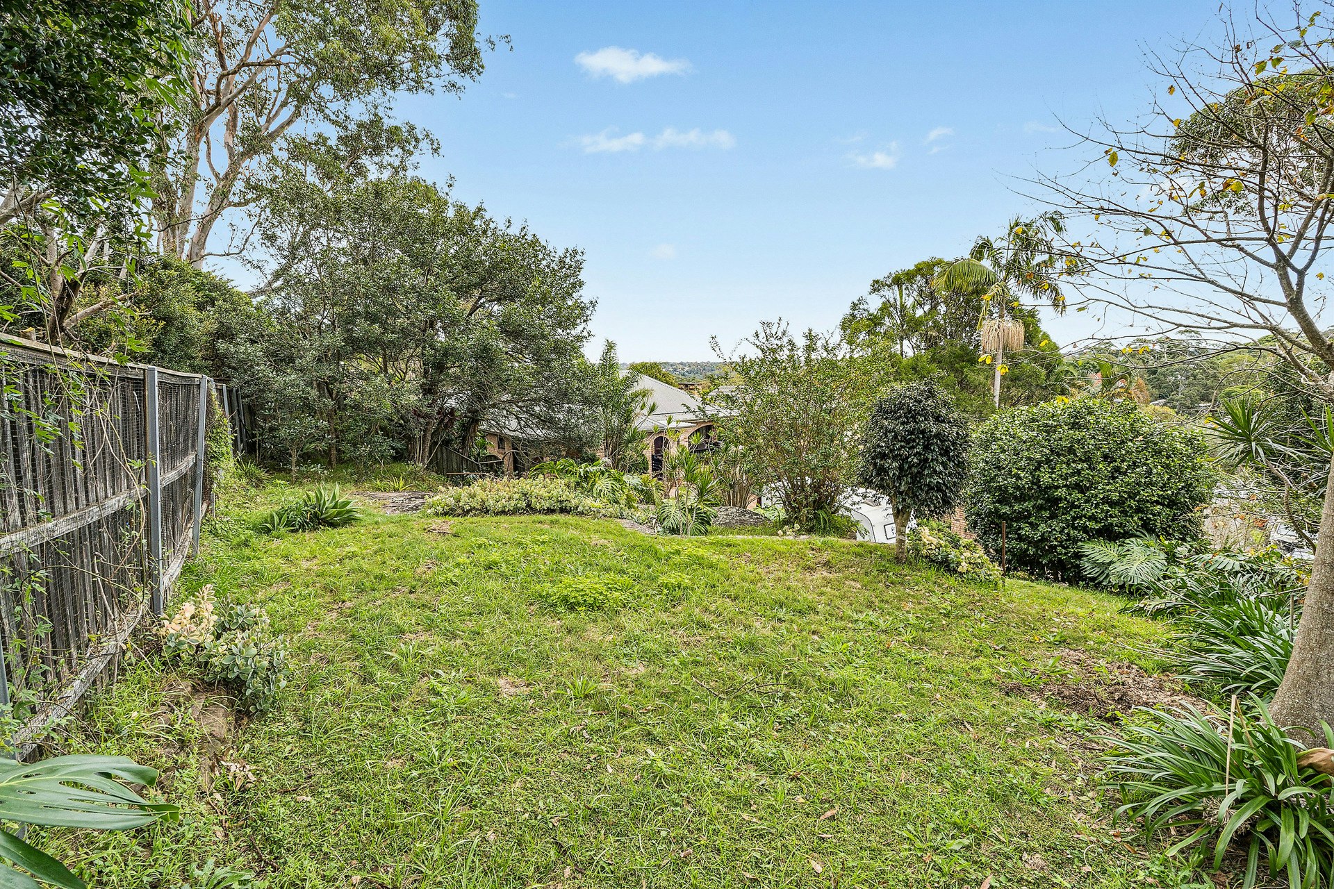 Image of backyard