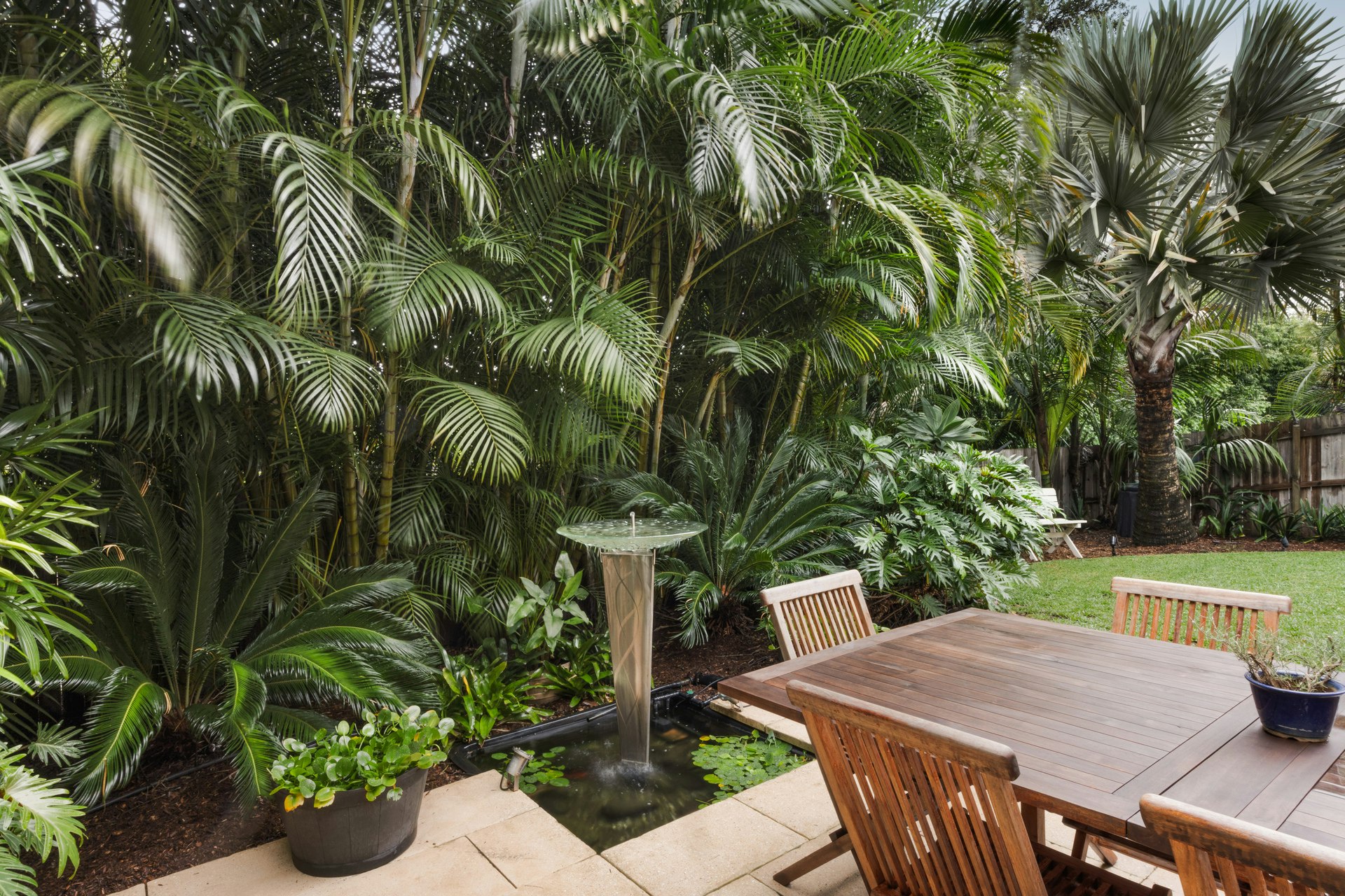 Image of backyard