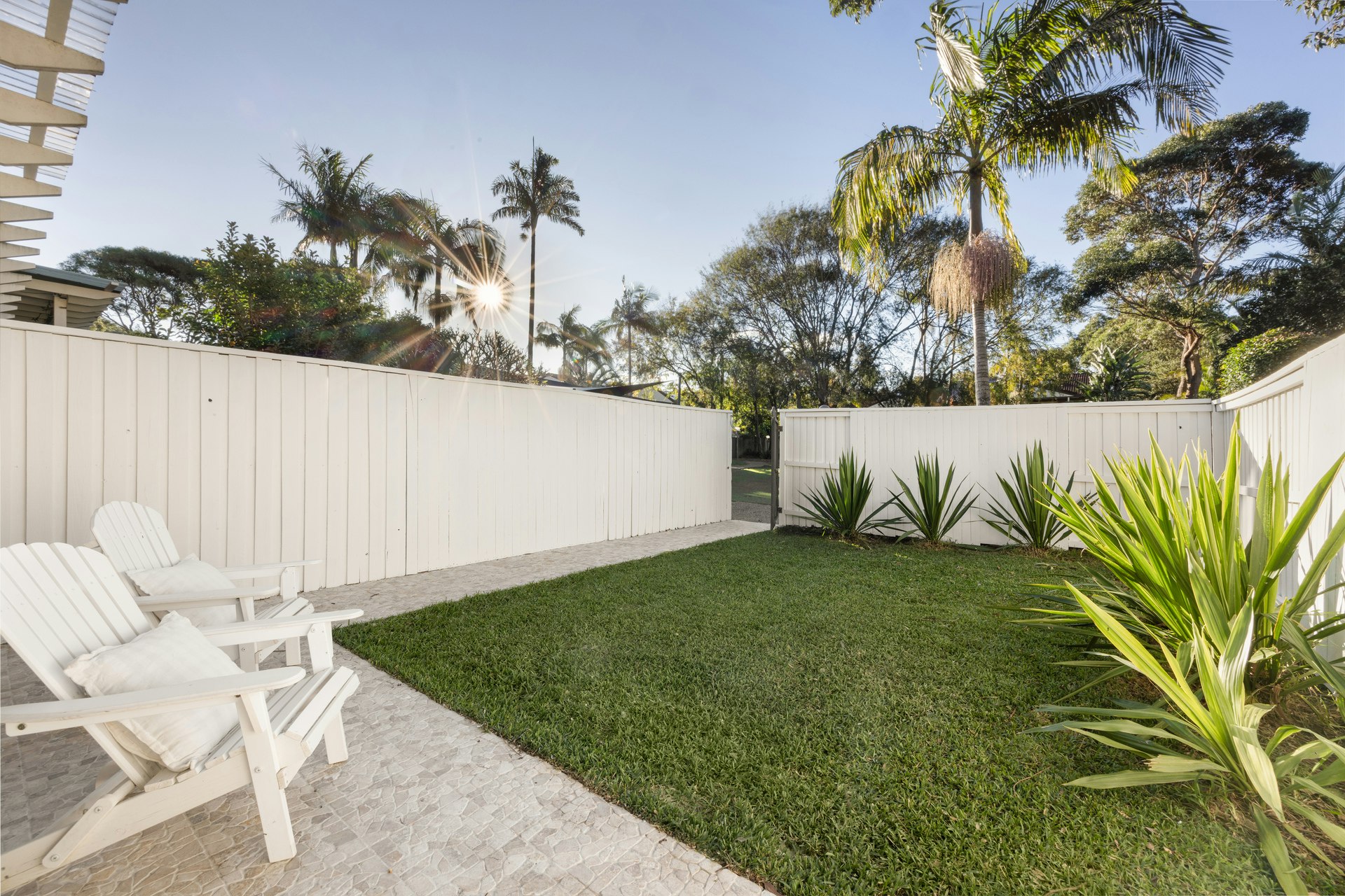 Image of backyard