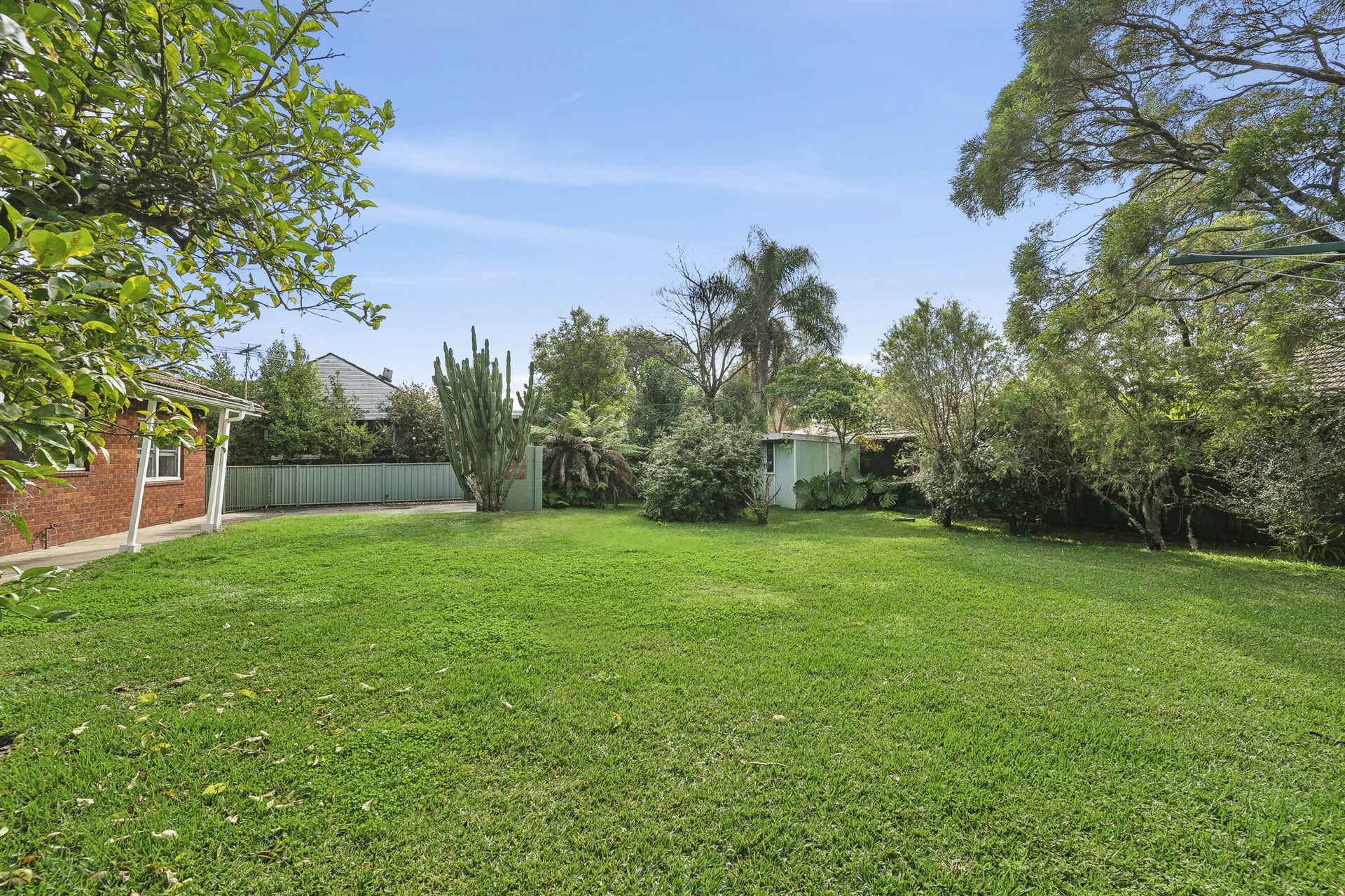 Image of backyard