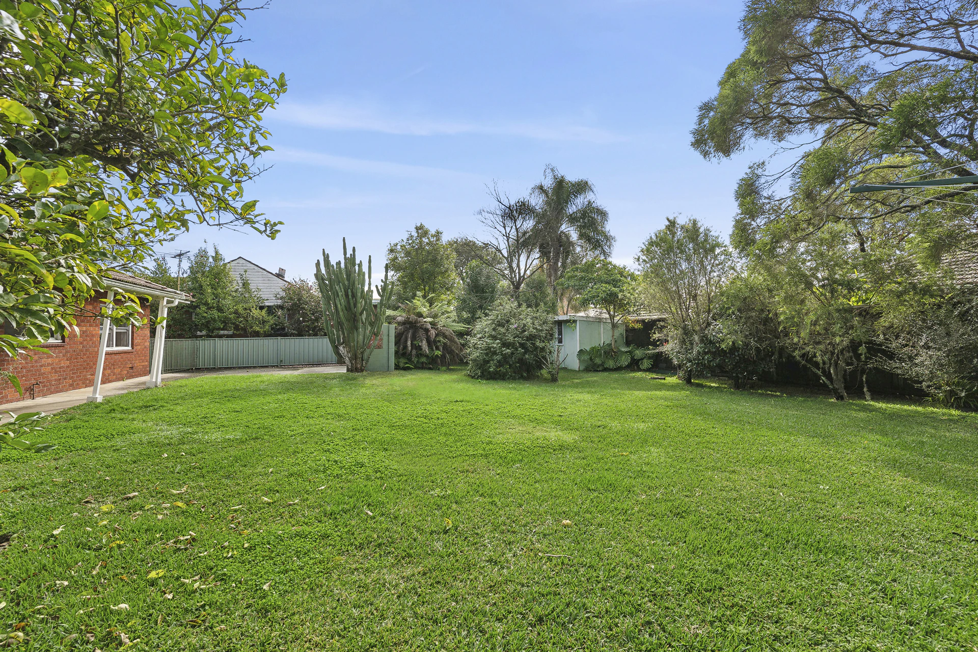 backyard