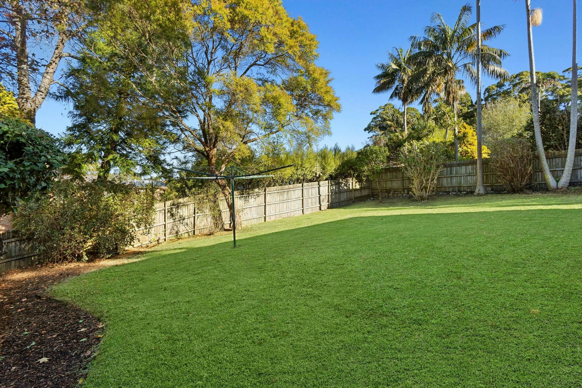 Image of backyard