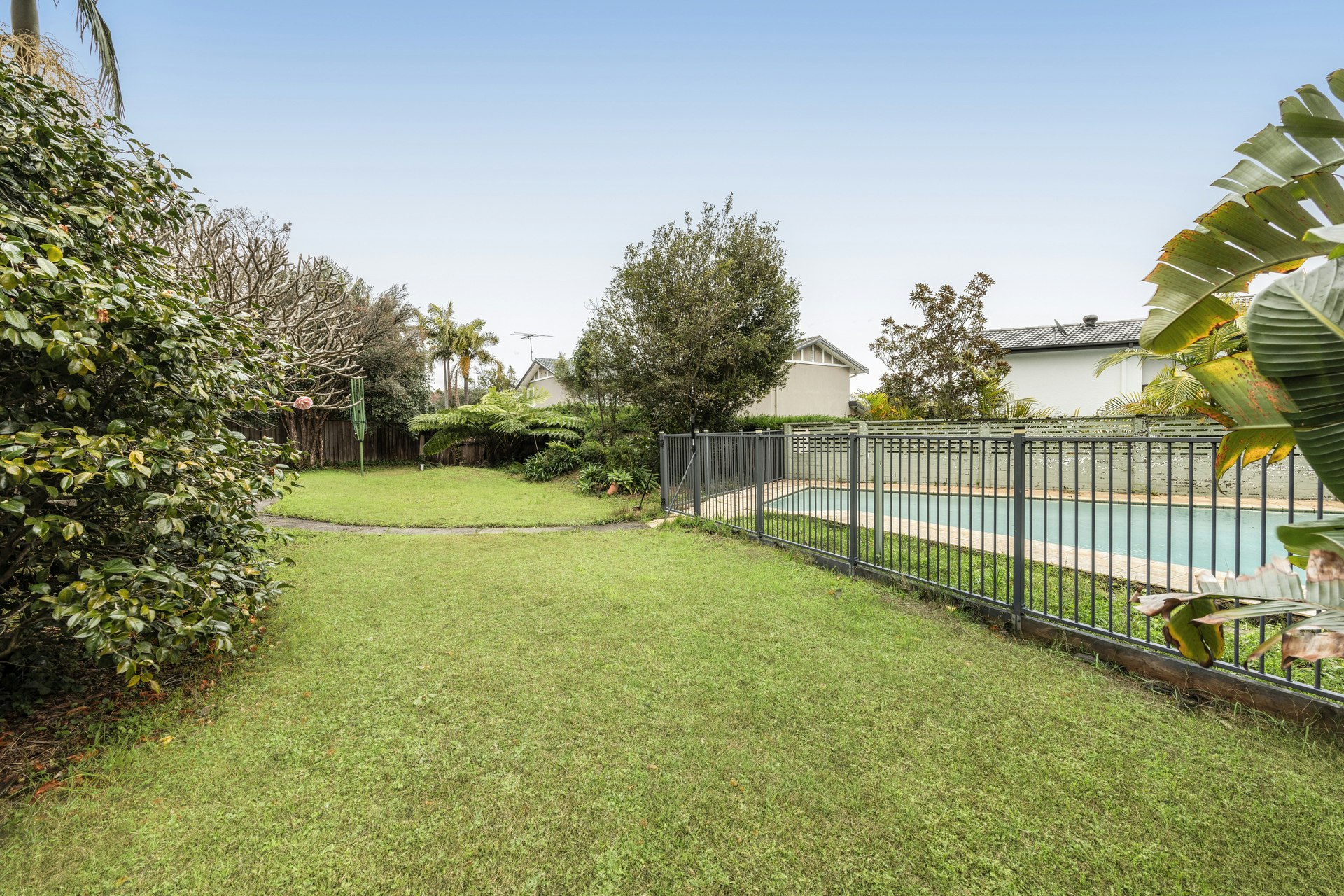 Image of backyard