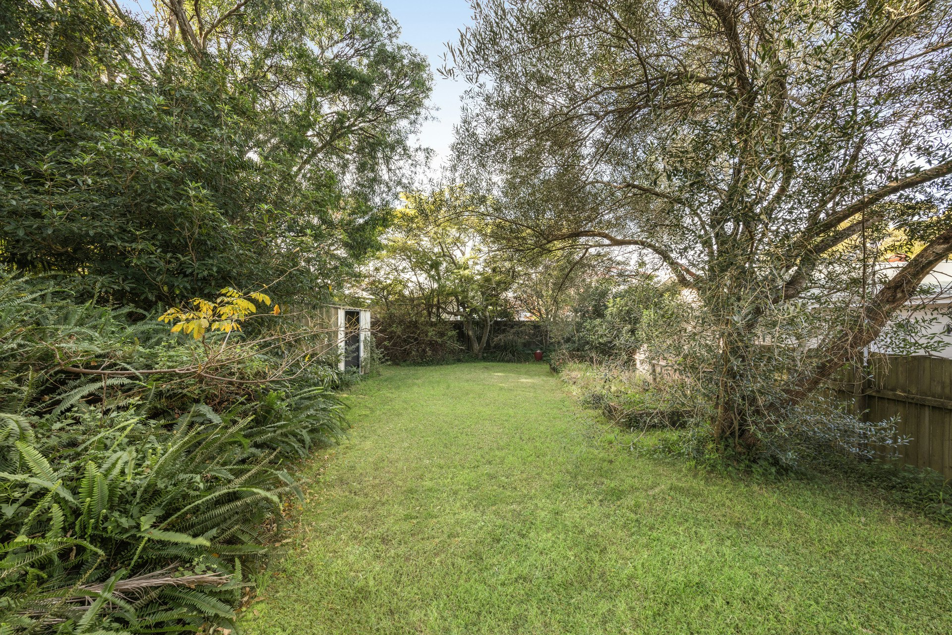 Image of backyard