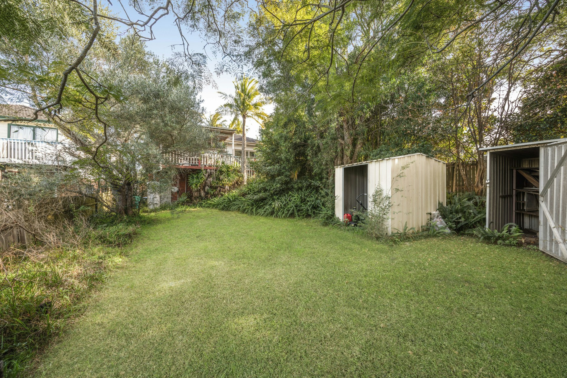 Image of backyard