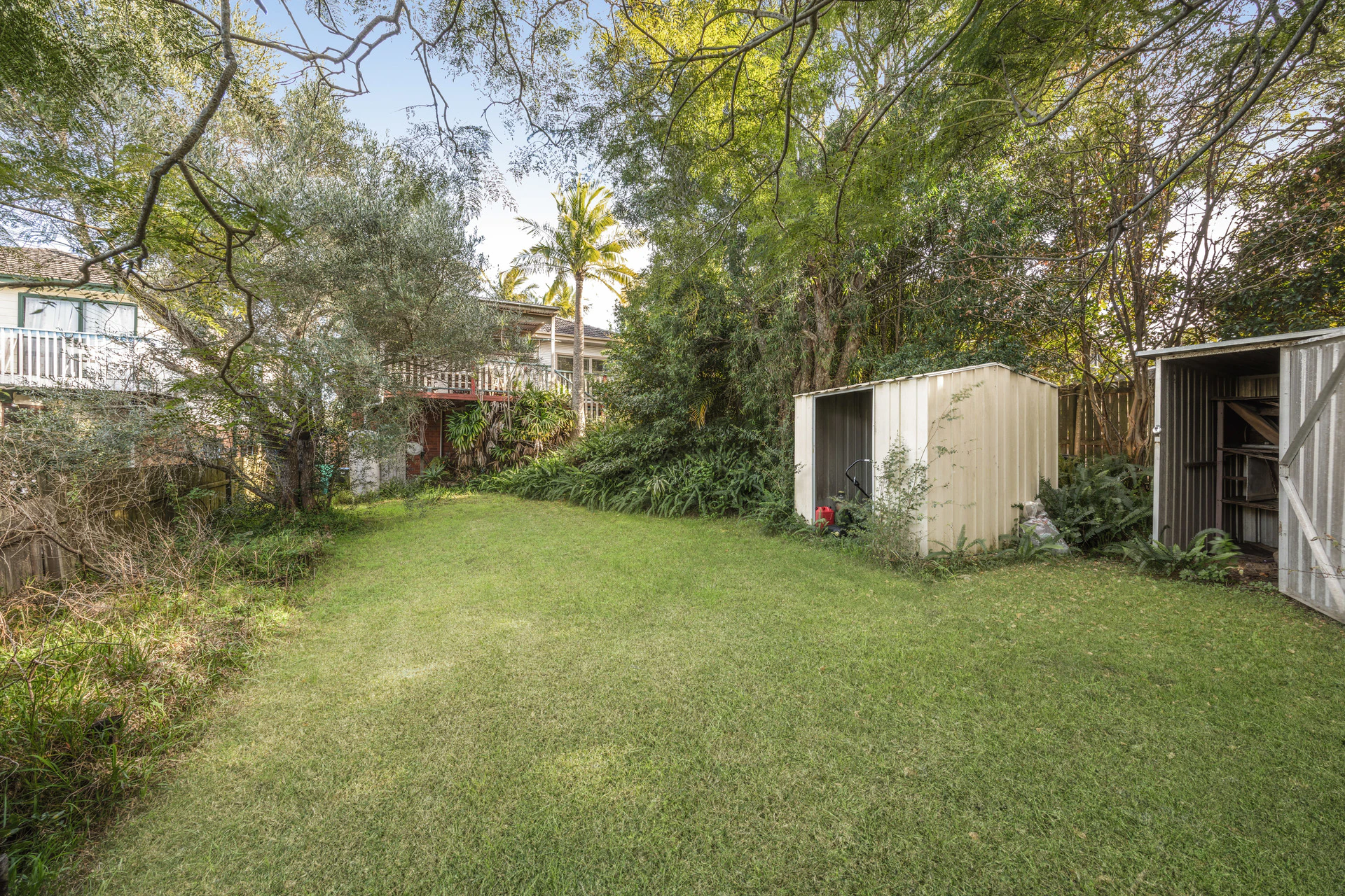 backyard