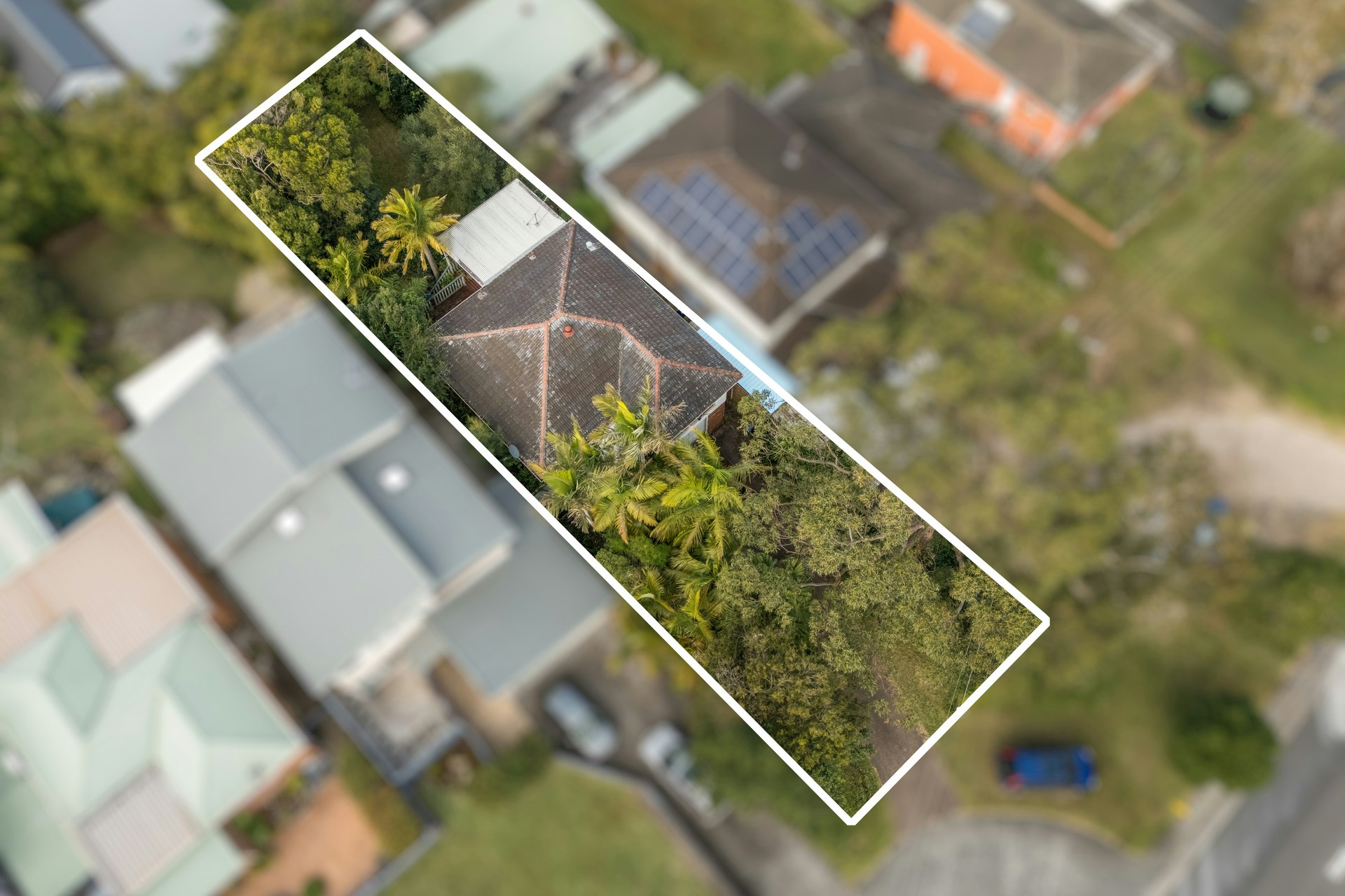 Image of neighborhood