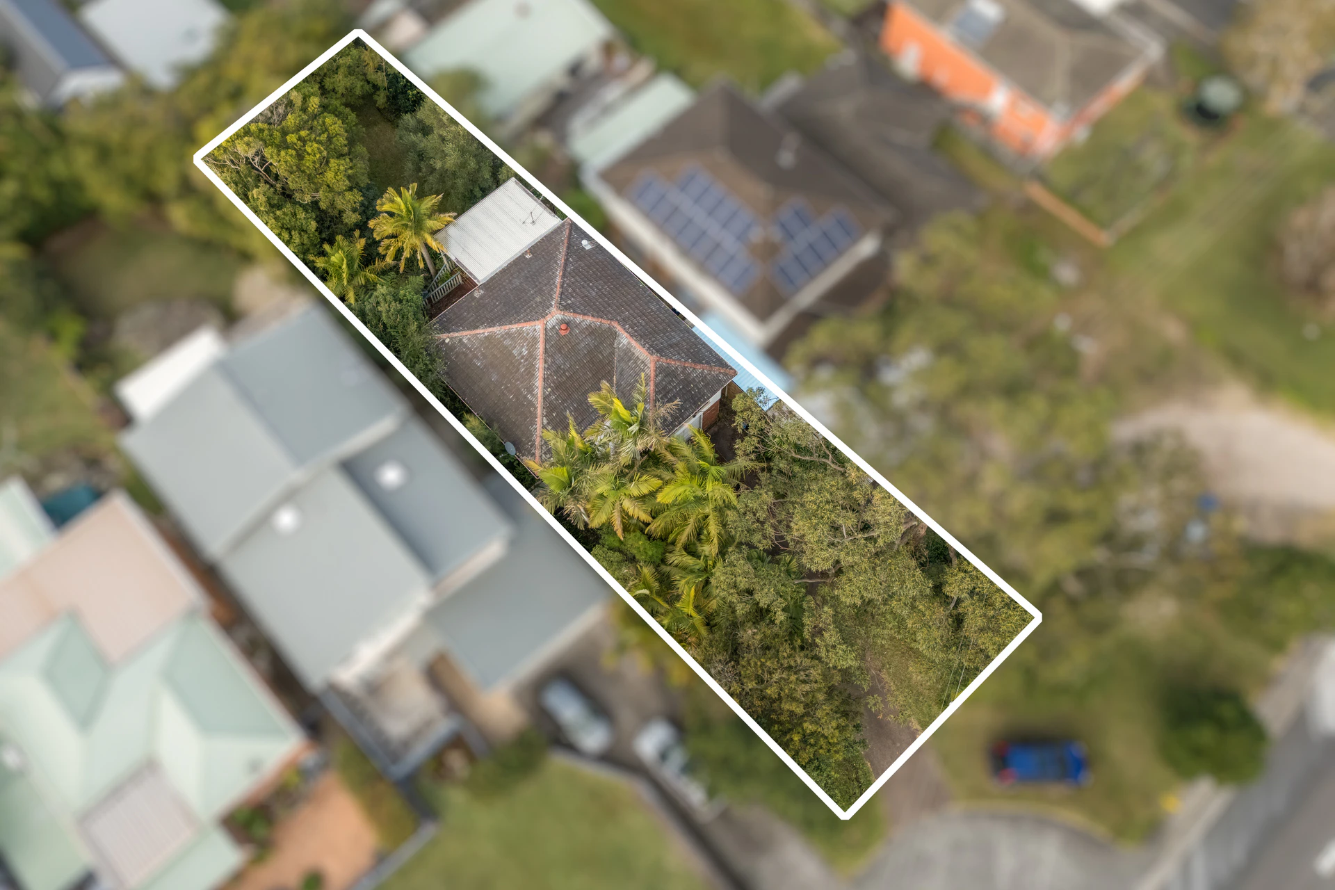 neighborhood