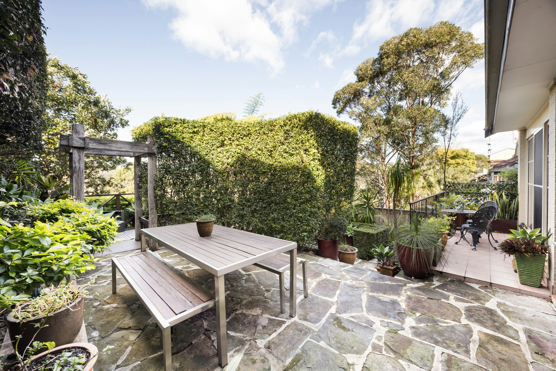 Image of backyard