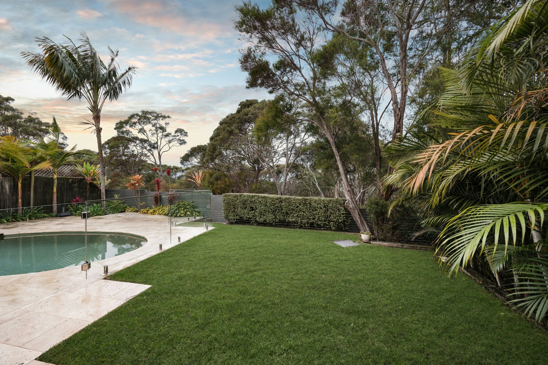Image of backyard