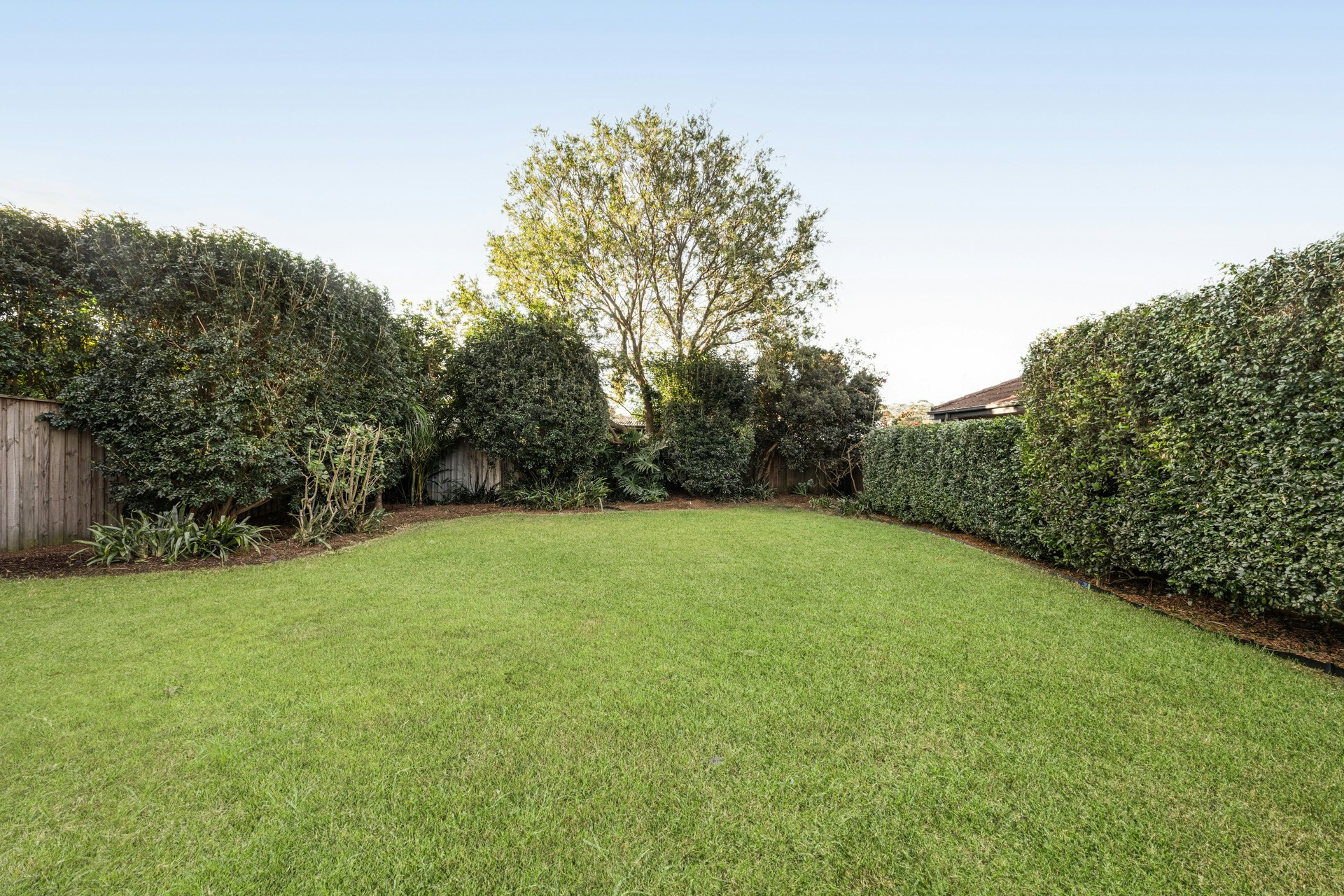 Image of backyard