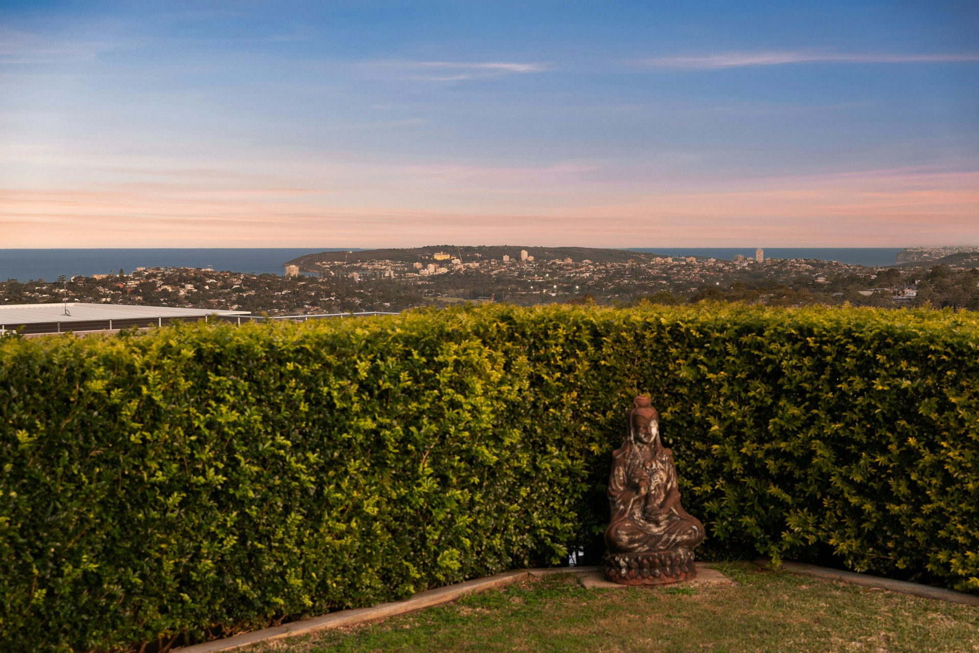 Image of hedge
