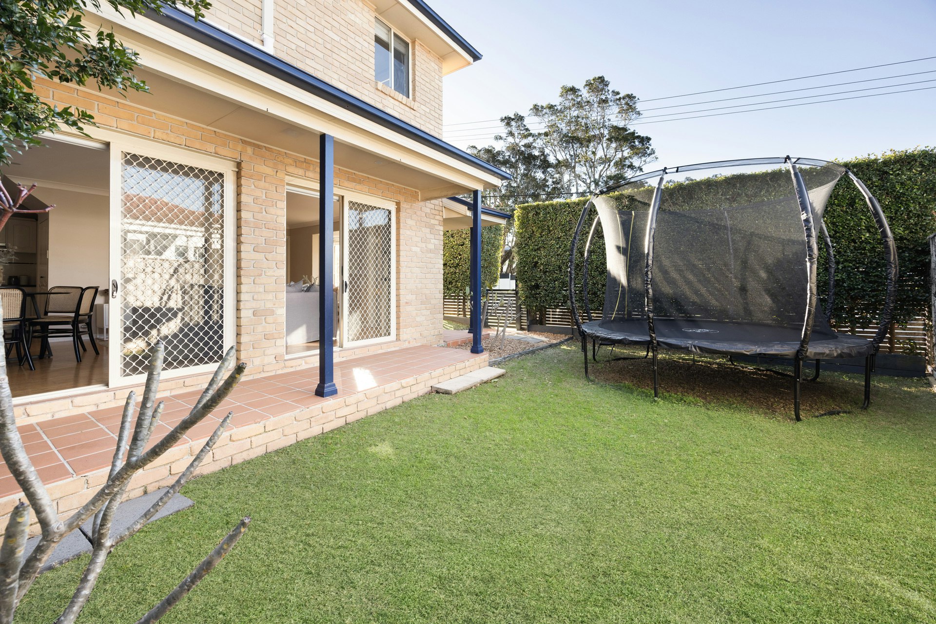 Image of backyard