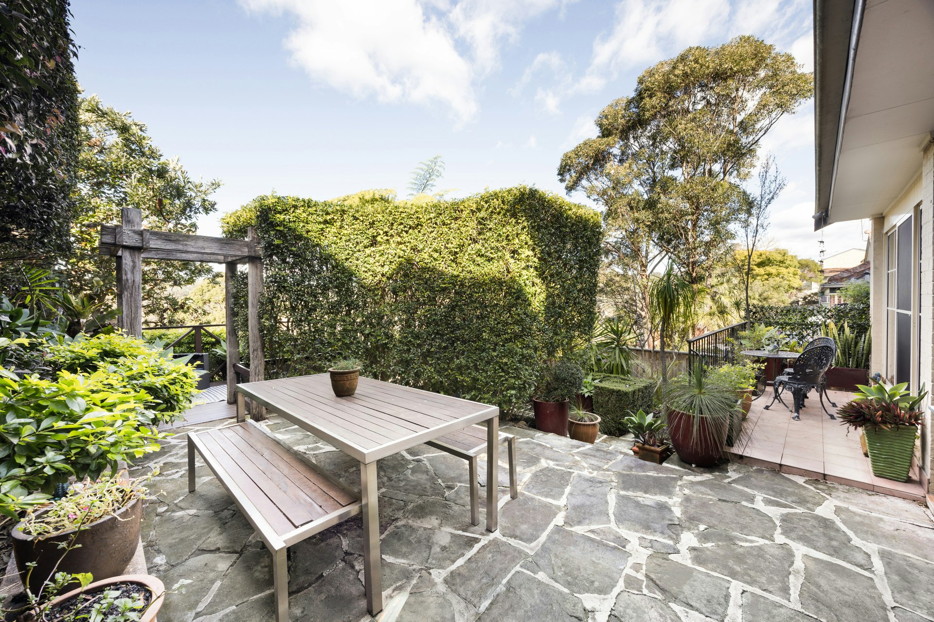 Image of backyard