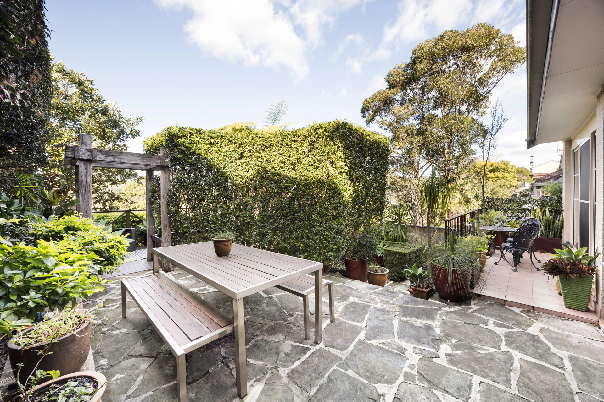 backyard