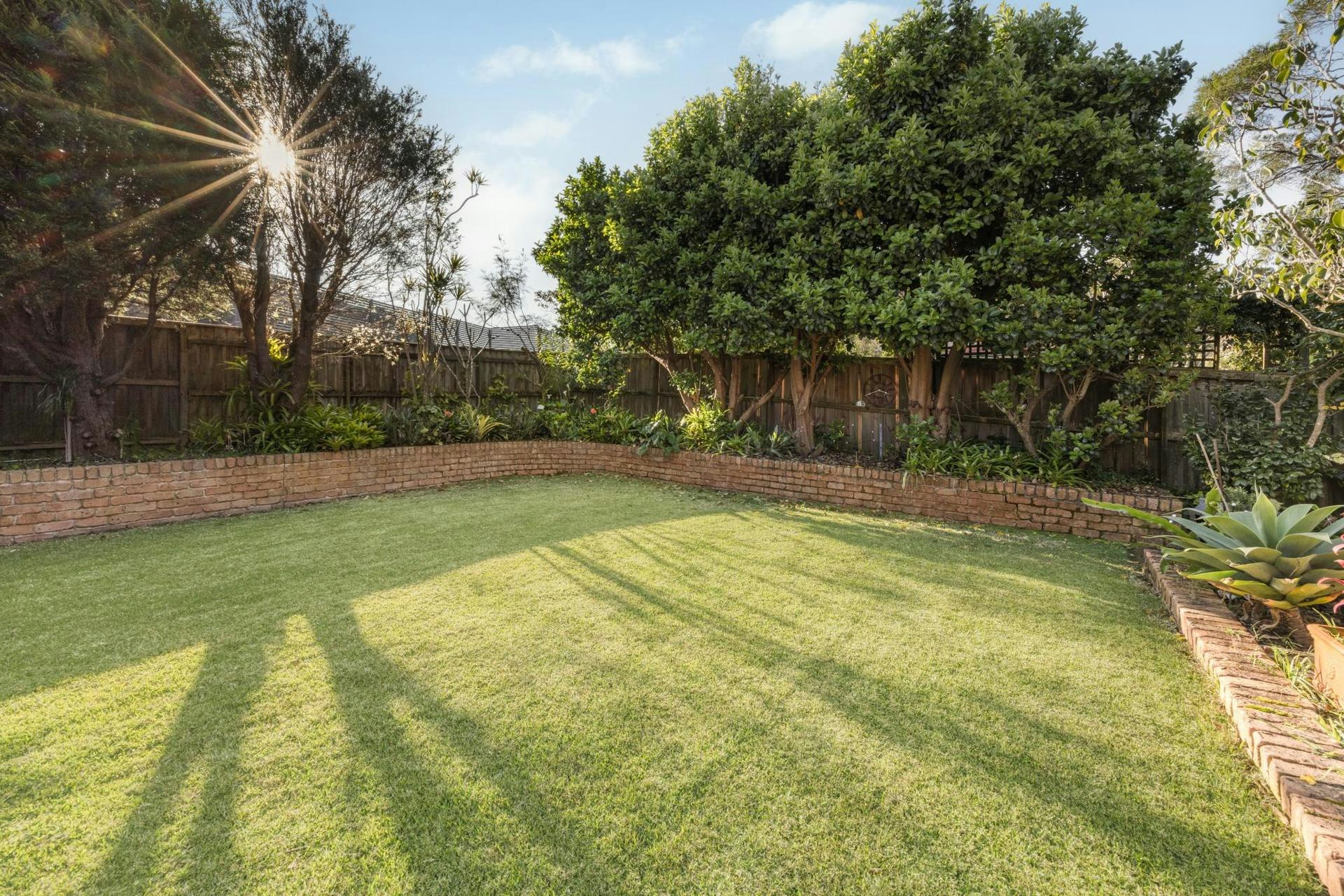 Image of backyard