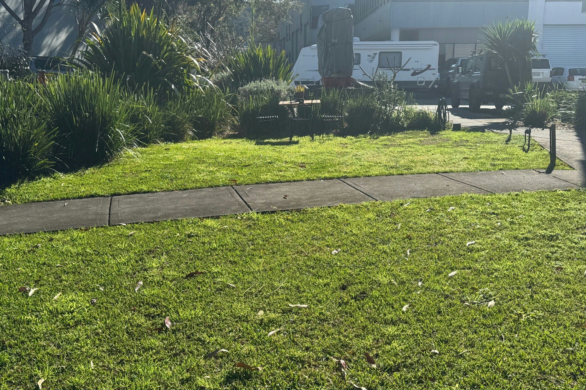 Image of grass