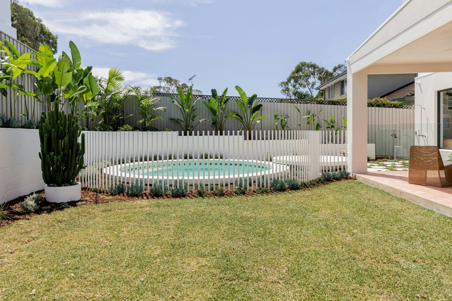 Image of backyard