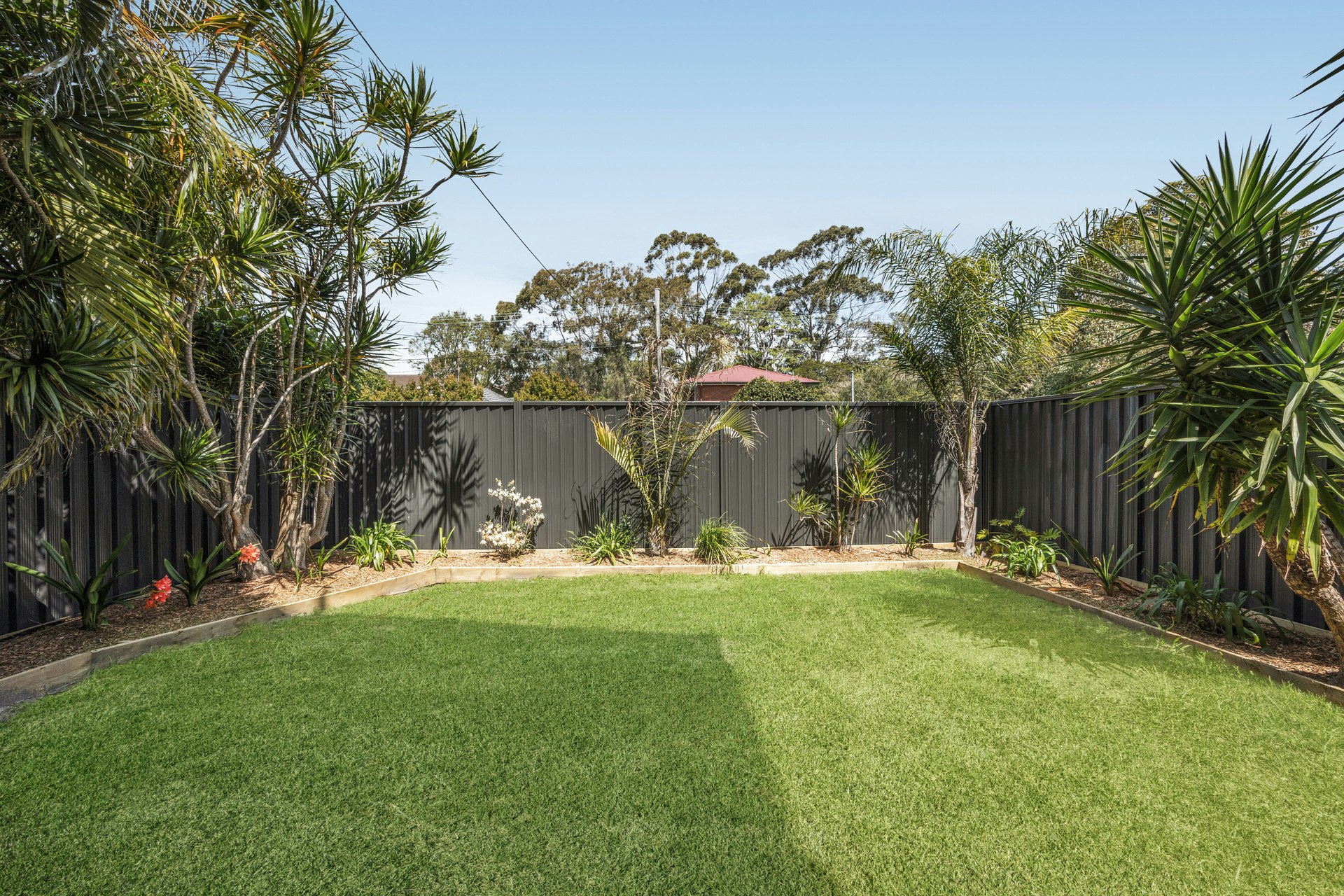 Image of backyard