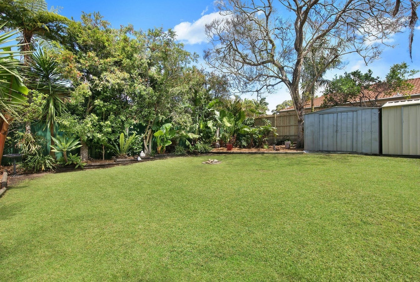 Image of backyard