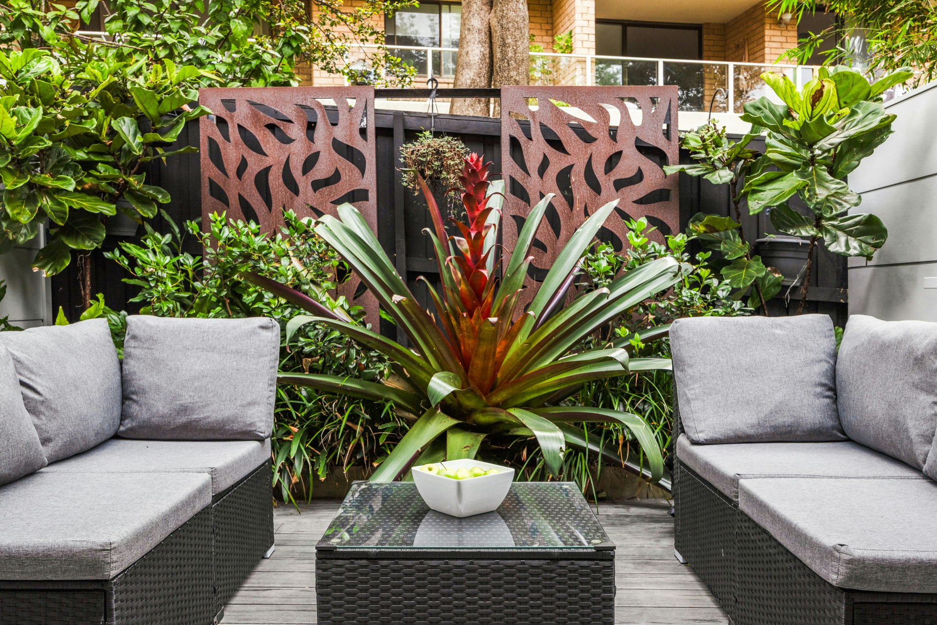 Image of backyard