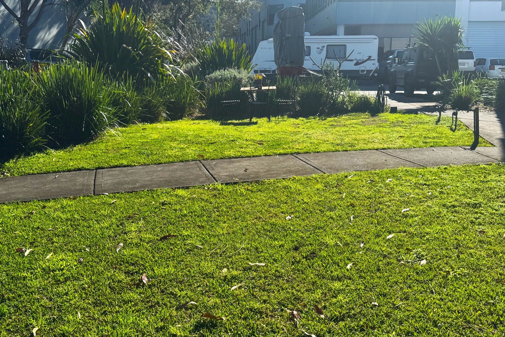 grass