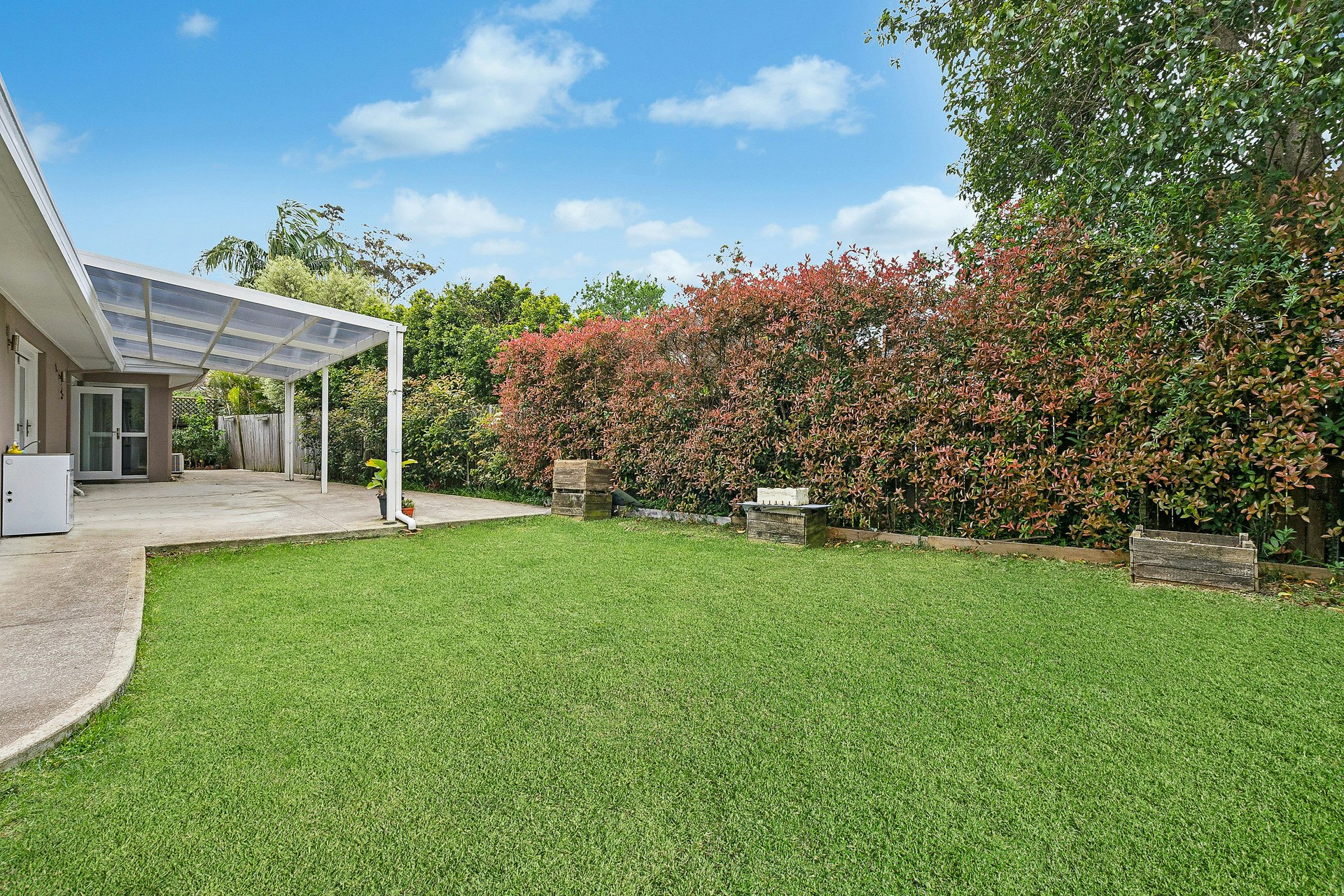 Image of grass