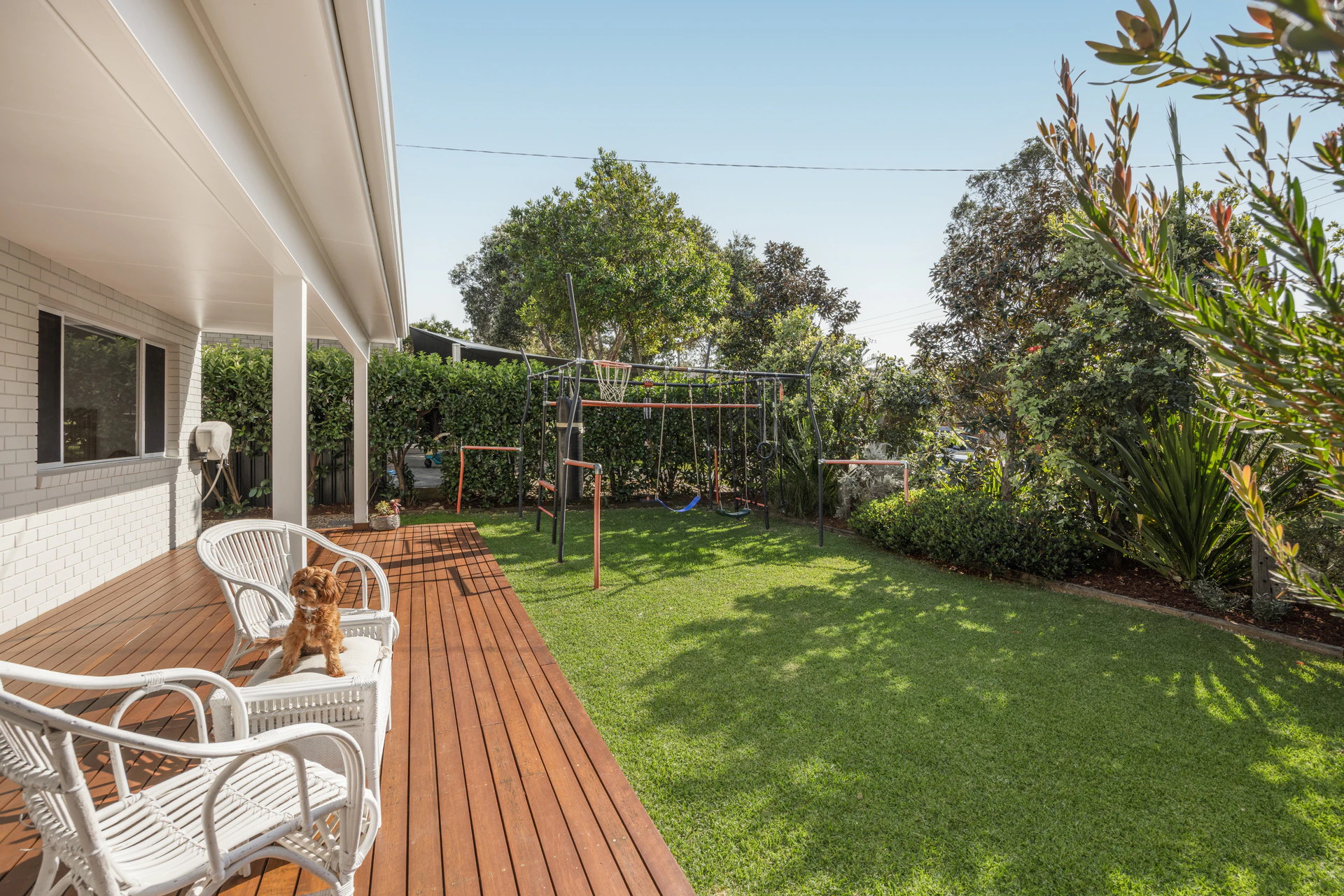backyard