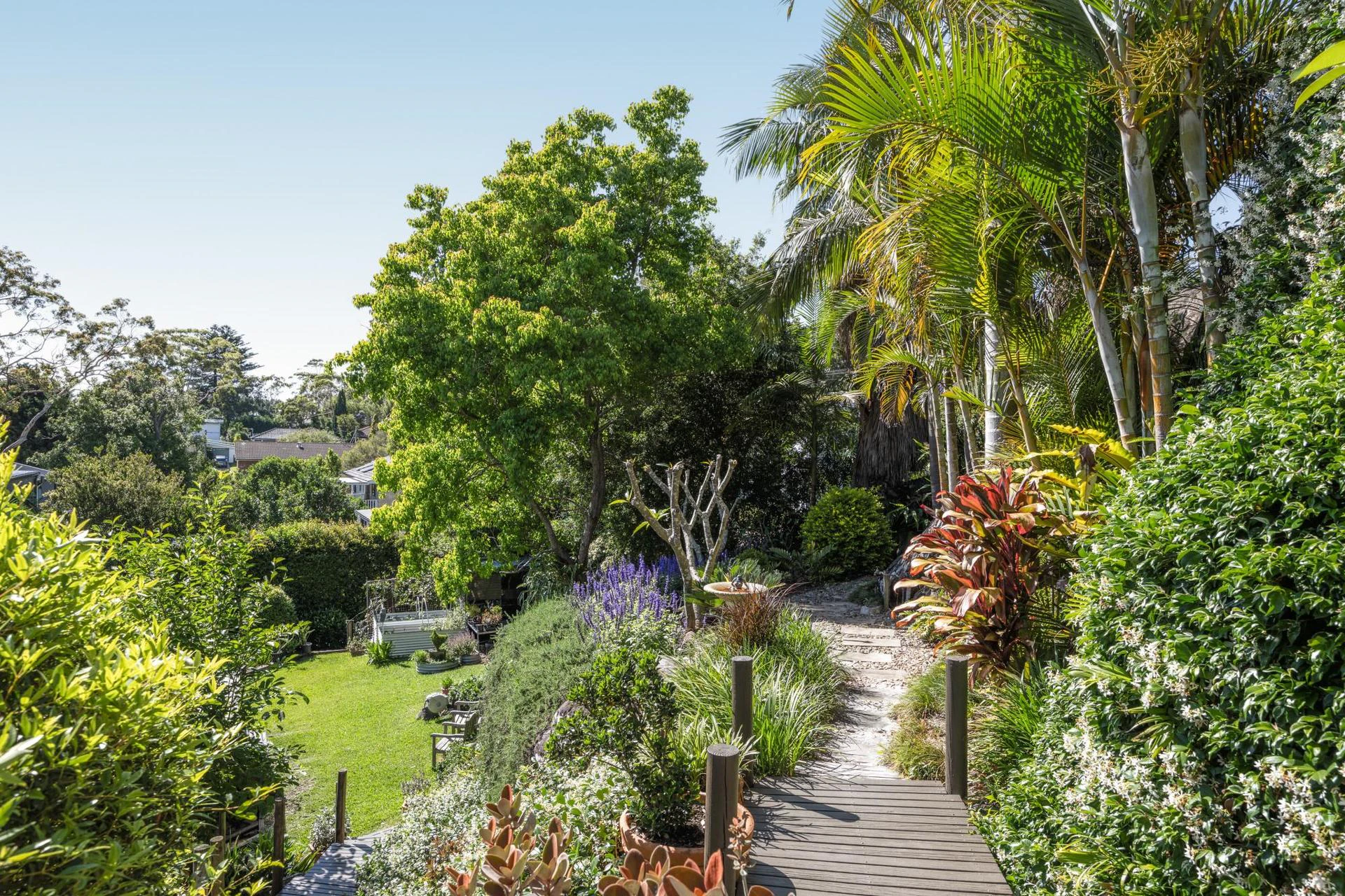 garden