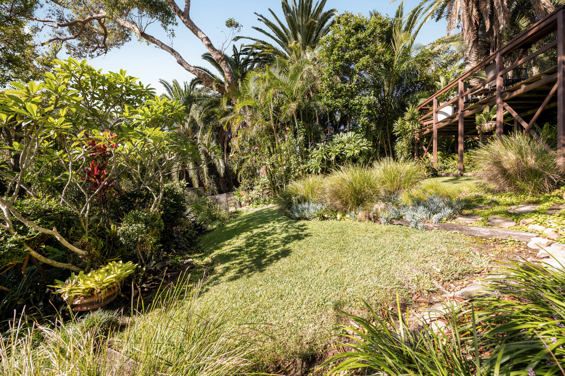 vegetation