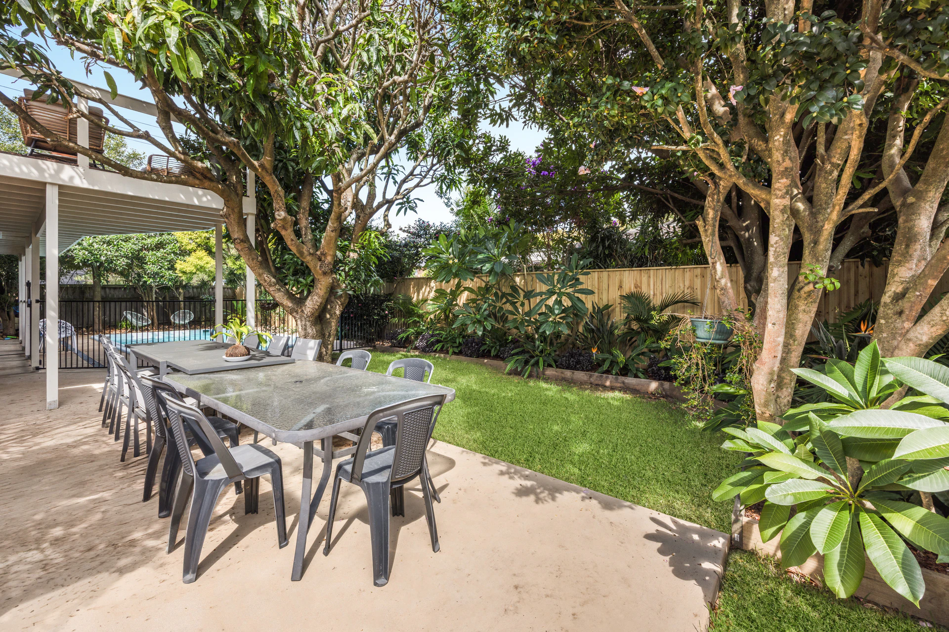 backyard