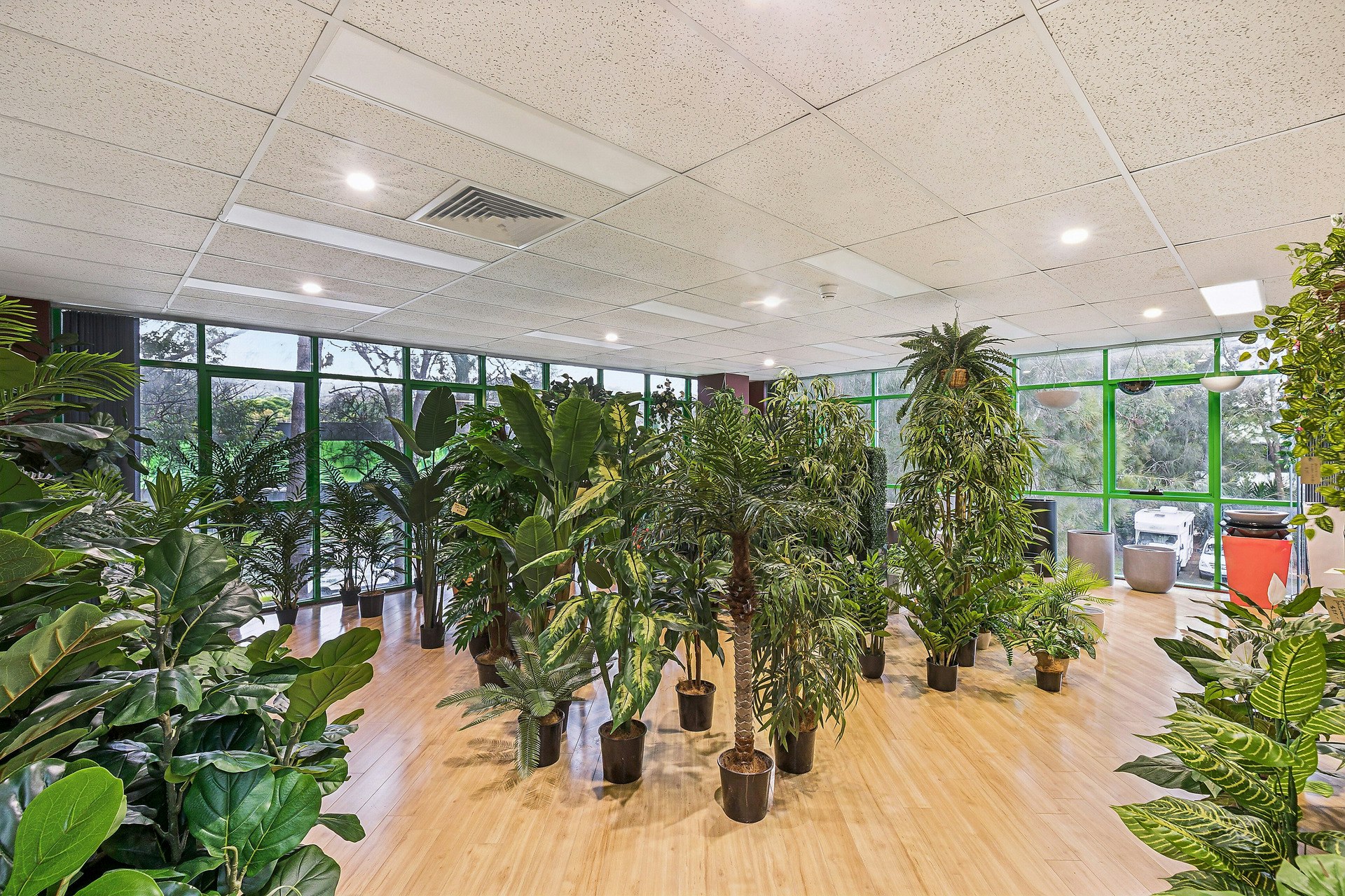plant