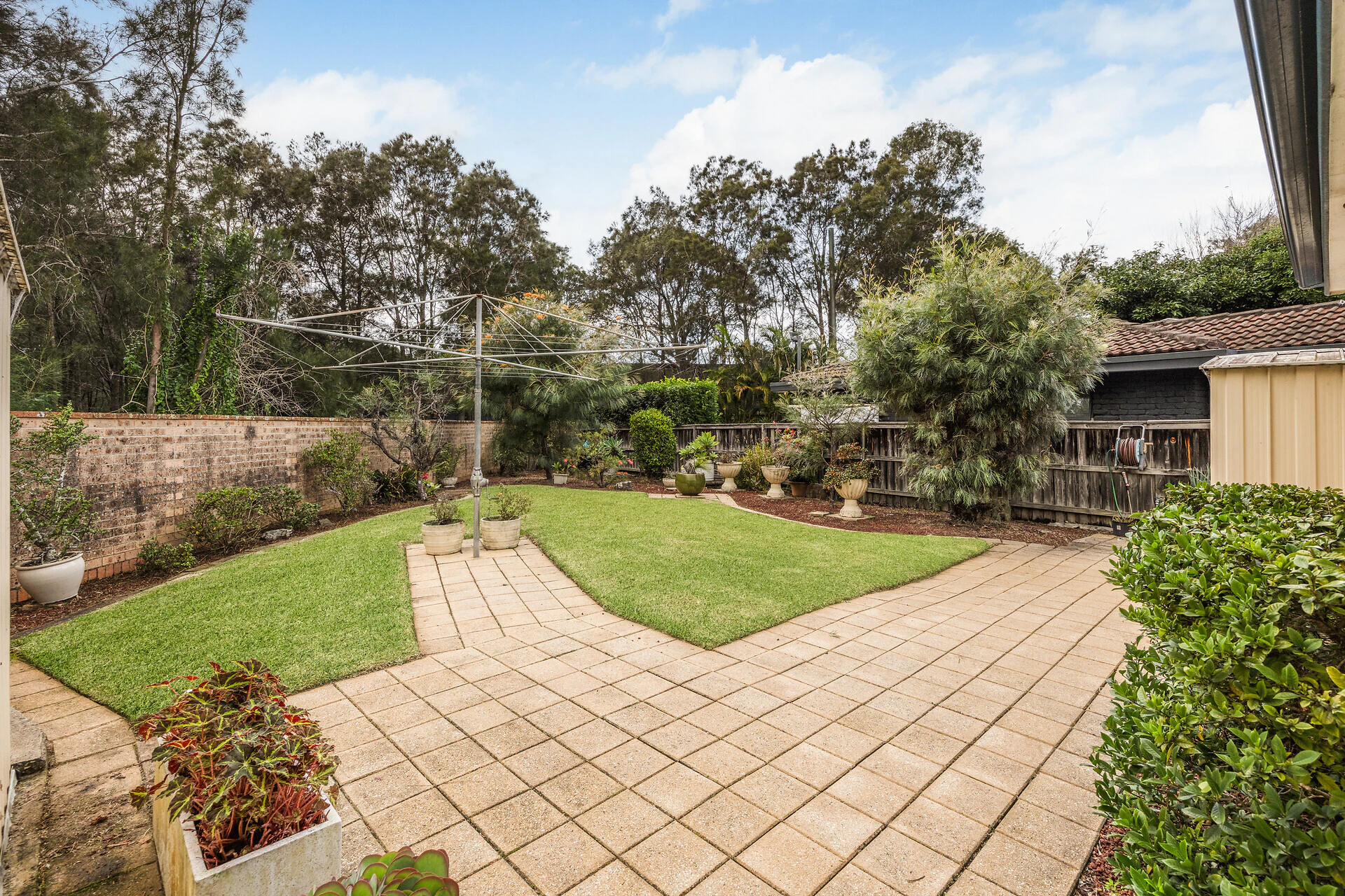 backyard
