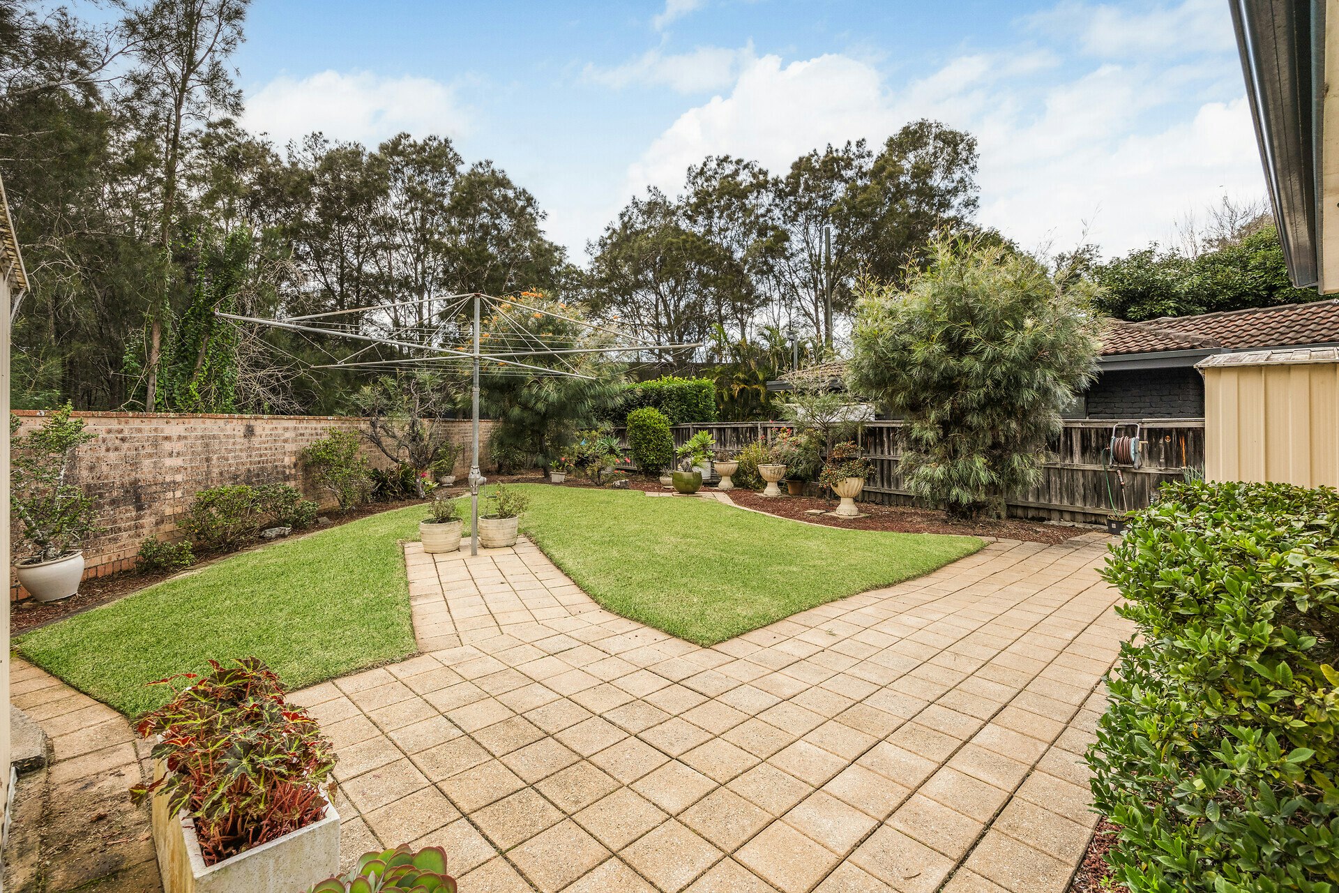backyard