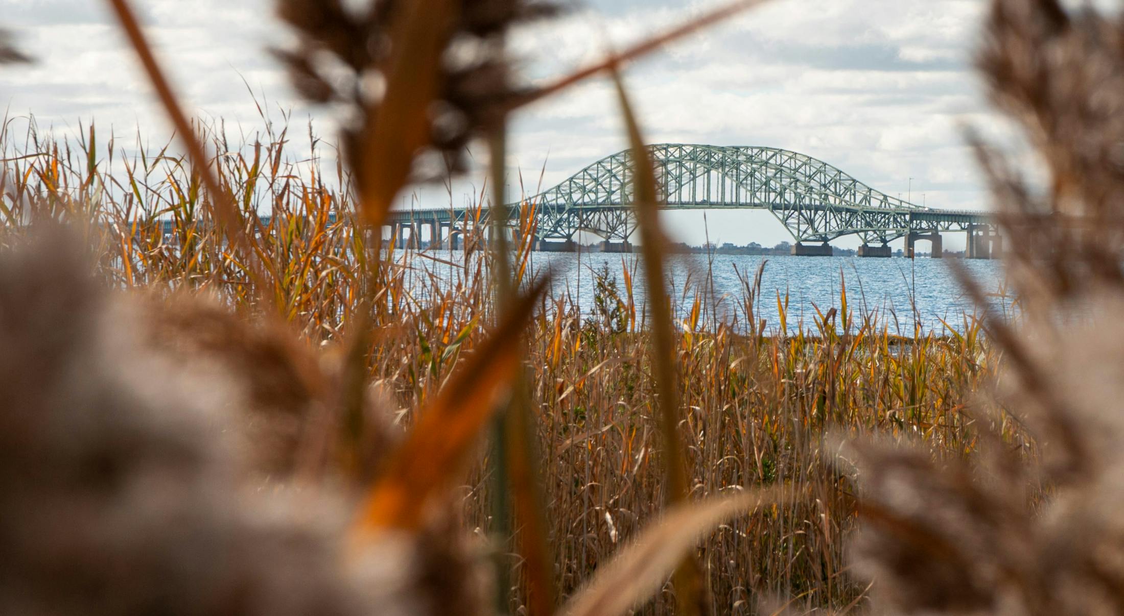 Aesthetic photo of a bridge