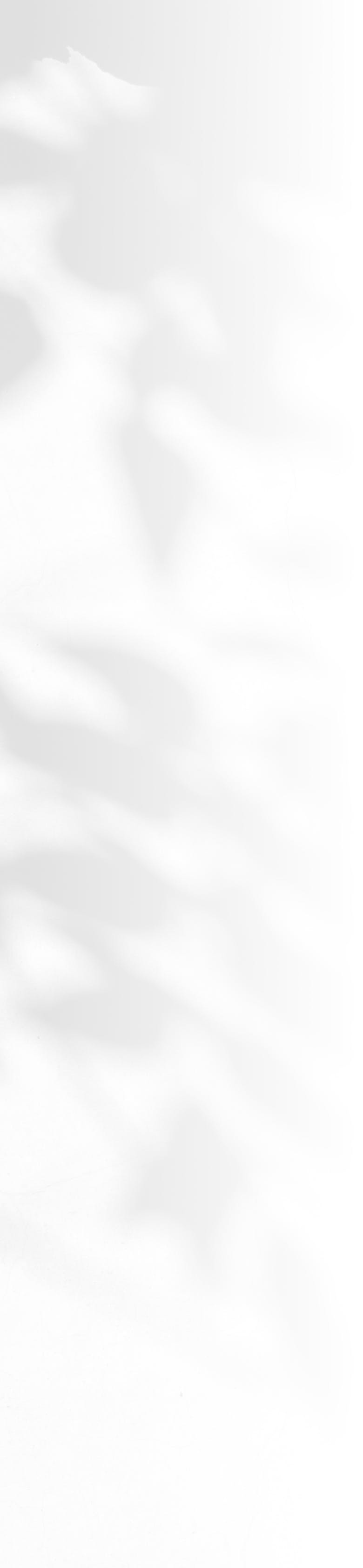 textured background media