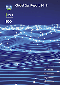 Global Gas Report 2019 | International Gas Union