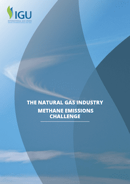 The Natural Gas Industry Methane Emissions Challenge | International ...
