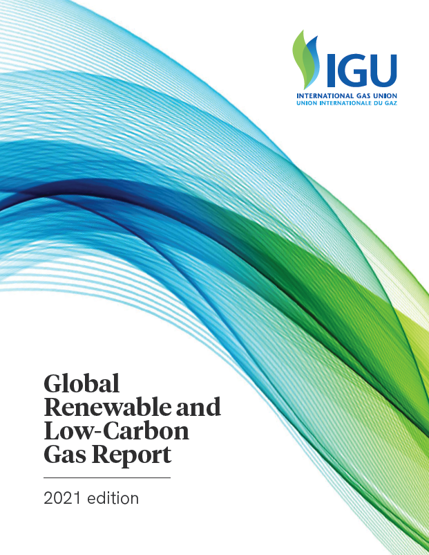 Global Renewable & Low-Carbon Gas Report | International Gas Union