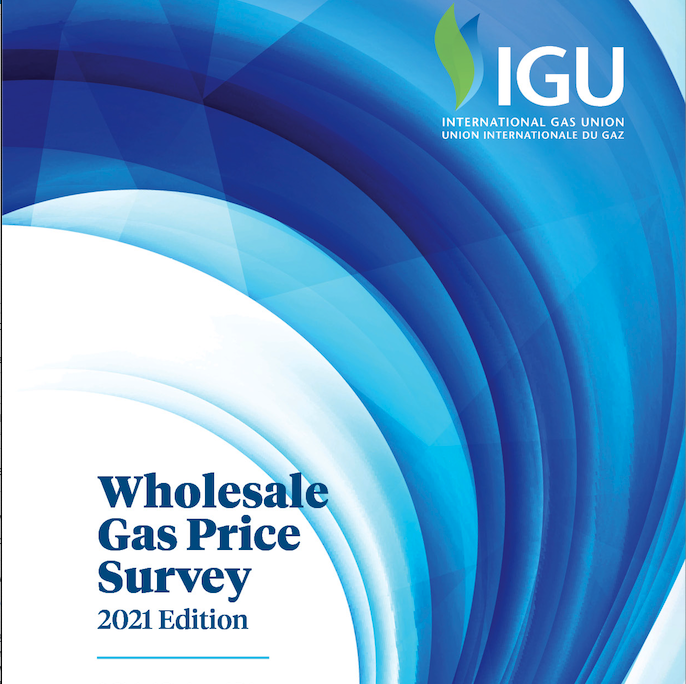 Global Presentation: 2021 Wholesale Price Report | International Gas Union