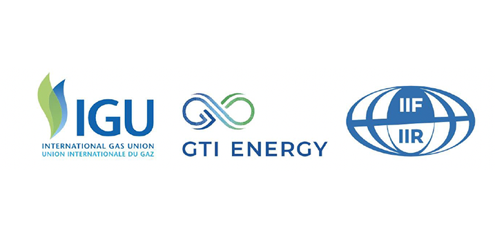 The International Conference & Exhibition on Liquefied Natural Gas logo